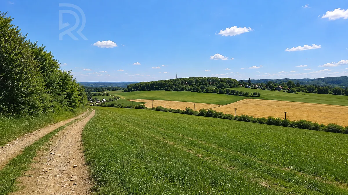 Prodej pole 60172 m²